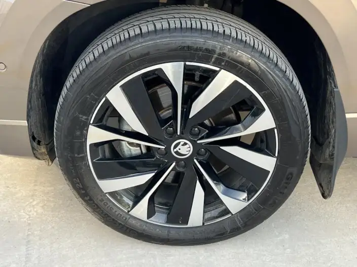 Karoq 2023 Model TSI280 Luxury Edition – фото 8