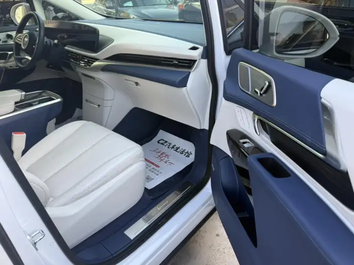 Century 2025 Model 2.0T VII seat Yunshi Edition – фото 6