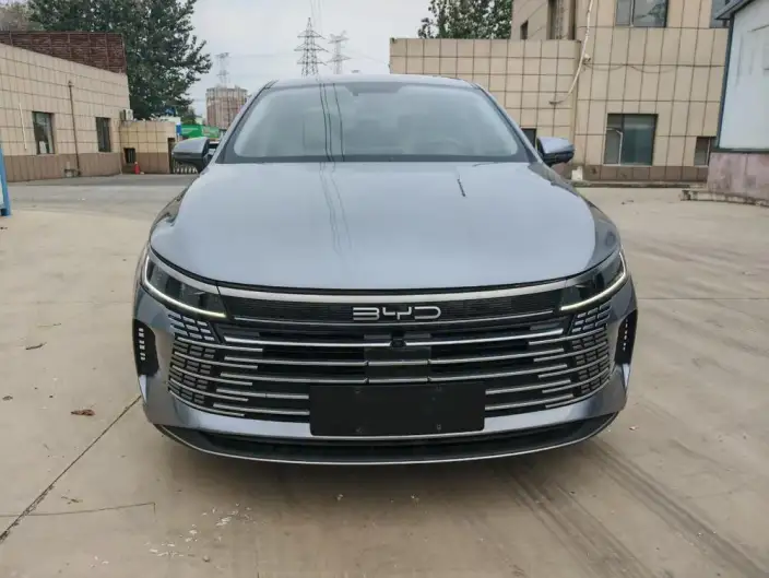 BYD Destroyer 05 2022 Model DM-i 55KM Luxury Model – фото 2