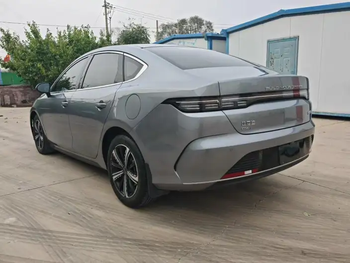 BYD Destroyer 05 2022 Model DM-i 55KM Luxury Model – фото 4
