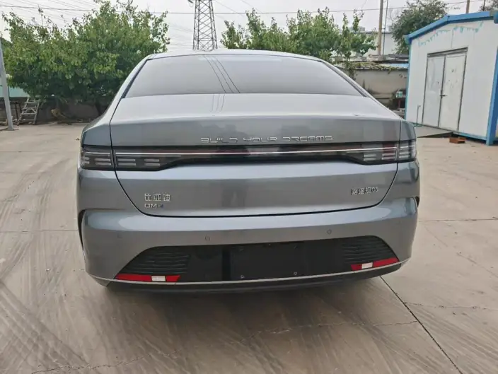 BYD Destroyer 05 2022 Model DM-i 55KM Luxury Model – фото 5