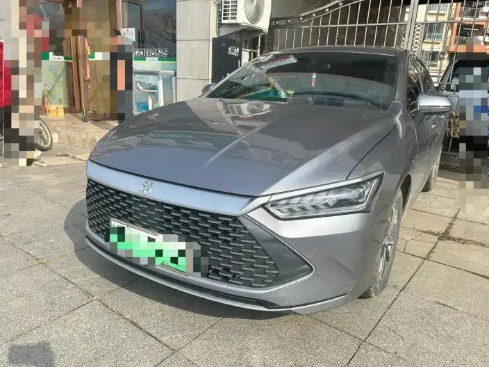 BYD Qin PLUS DM 2024 Model Honor Edition DM-i 55KM Leading Model – фото 1