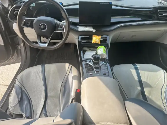 BYD Qin PLUS DM 2024 Model Honor Edition DM-i 55KM Leading Model – фото 6