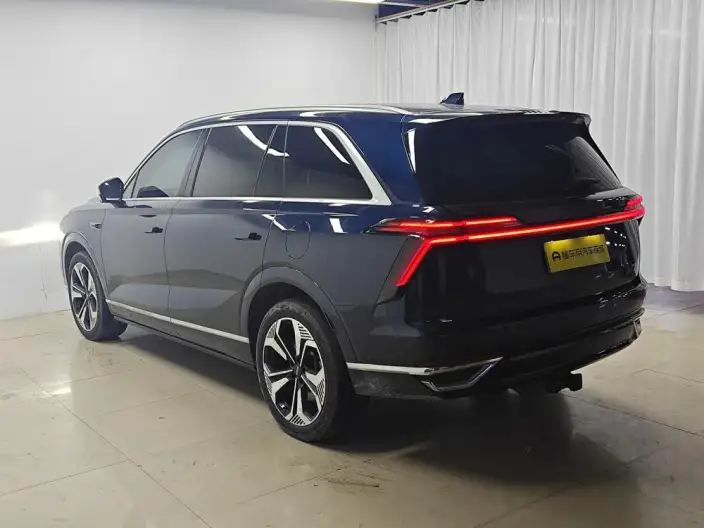 Wey Blue Mountain 2023 Model 4WD Ultra-long Endurance – фото 5