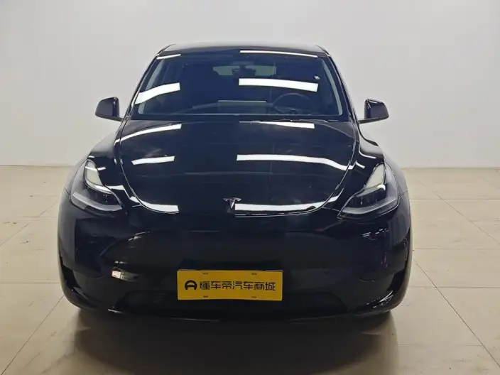Model Y 2022 Model Rear-wheel drive version – фото 2