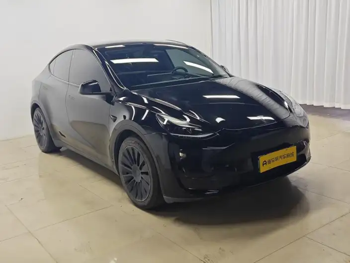 Model Y 2022 Model Rear-wheel drive version – фото 3