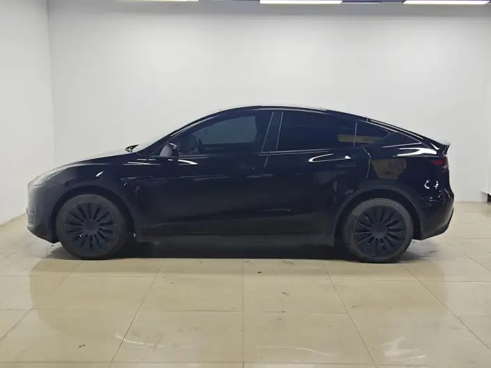 Model Y 2022 Model Rear-wheel drive version – фото 4