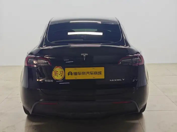 Model Y 2022 Model Rear-wheel drive version – фото 6