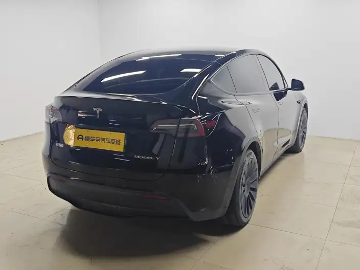 Model Y 2022 Model Rear-wheel drive version – фото 7