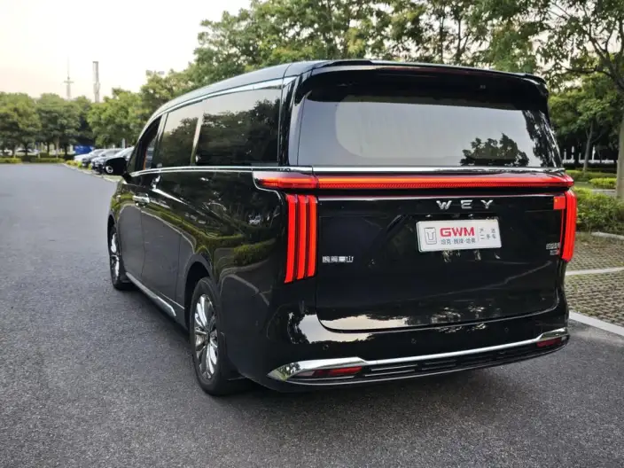Wey Gaoshan P HEV 2023 Model 4WD Executive Extended Edition – фото 5