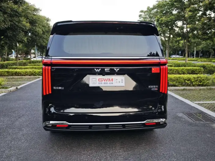 Wey Gaoshan P HEV 2023 Model 4WD Executive Extended Edition – фото 6