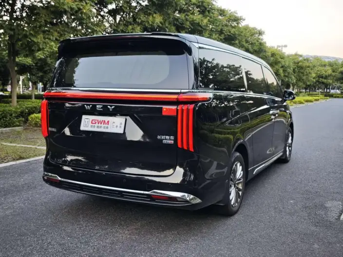 Wey Gaoshan P HEV 2023 Model 4WD Executive Extended Edition – фото 7