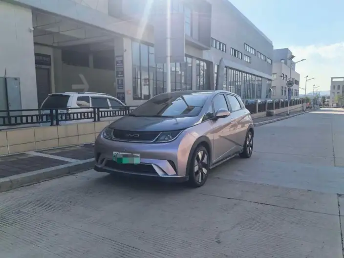 BYD Dolphin 2021 Model Knight Edition – фото 1