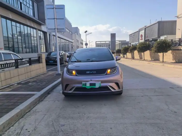 BYD Dolphin 2021 Model Knight Edition – фото 2