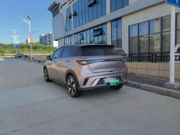 BYD Dolphin 2021 Model Knight Edition – фото 4