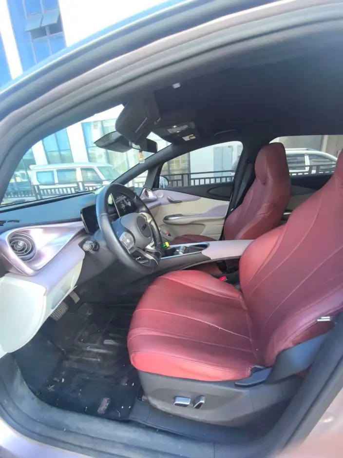 BYD Dolphin 2021 Model Knight Edition – фото 7
