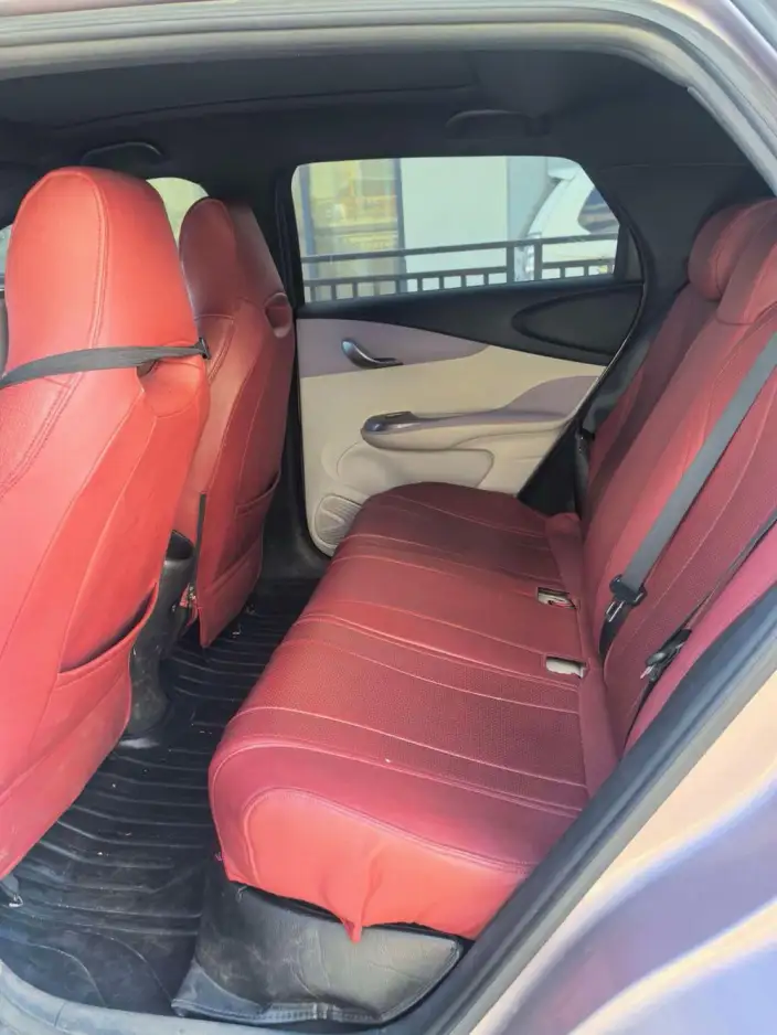 BYD Dolphin 2021 Model Knight Edition – фото 9