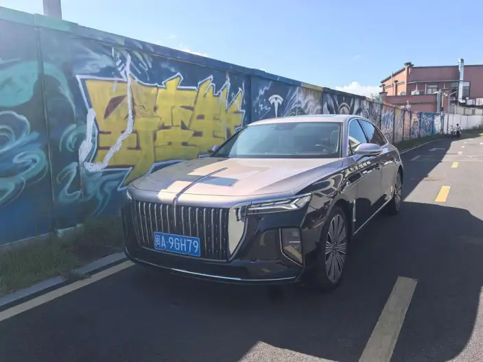 HONGQI H9 2025 Model 2.0T Flag Xiang Luxury Business Edition