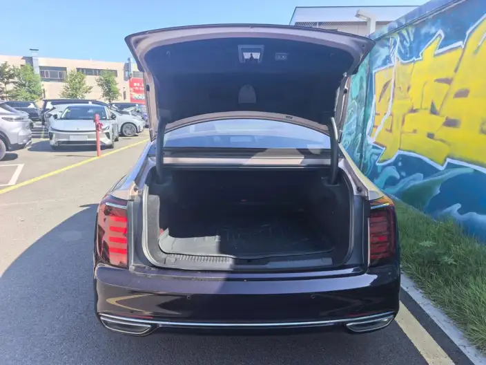 HONGQI H9 2025 Model 2.0T Flag Xiang Luxury Business Edition – фото 9