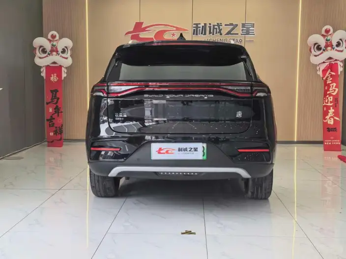 BYD Tang DM 2021 Model DM-i 1.5T 112KM Zunrong Model – фото 5