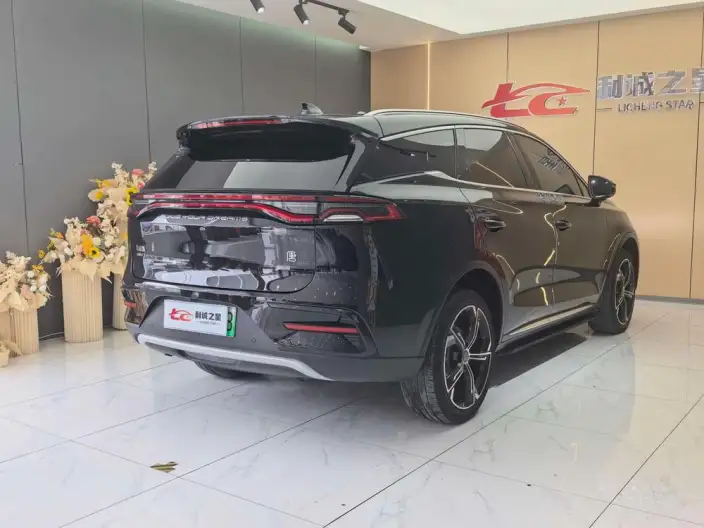BYD Tang DM 2021 Model DM-i 1.5T 112KM Zunrong Model – фото 6