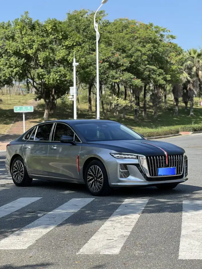Hongqi H5 2024 Model 2.0T Automatic Flag Enjoy Edition