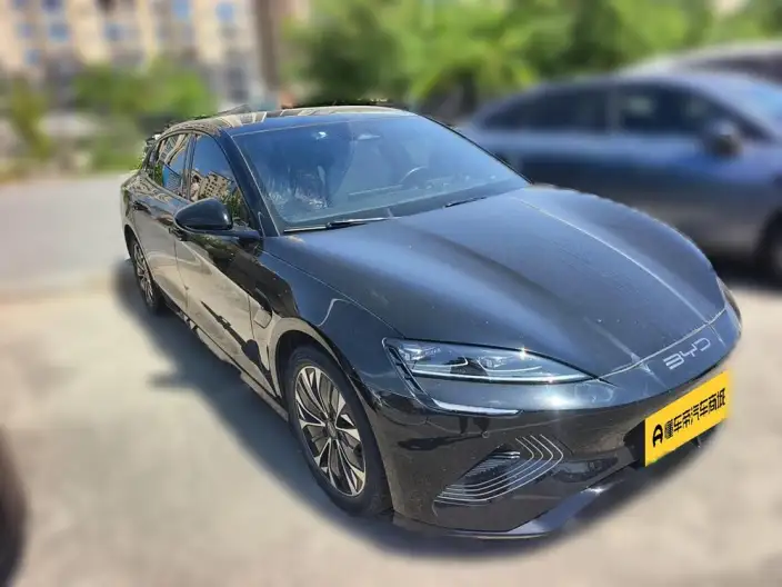 BYD Seal 2023 Model 550KM Champion Edition Elite Model – фото 3
