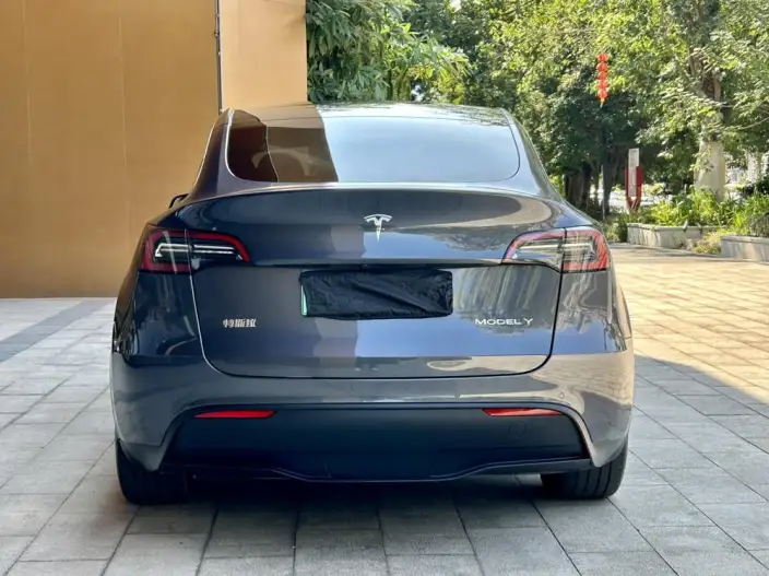 Model Y 2022 Model Rear-wheel drive version – фото 5