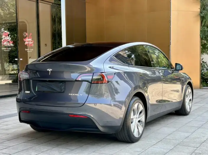 Model Y 2022 Model Rear-wheel drive version – фото 6