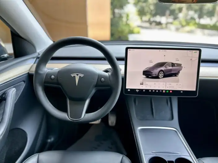 Model Y 2022 Model Rear-wheel drive version – фото 9