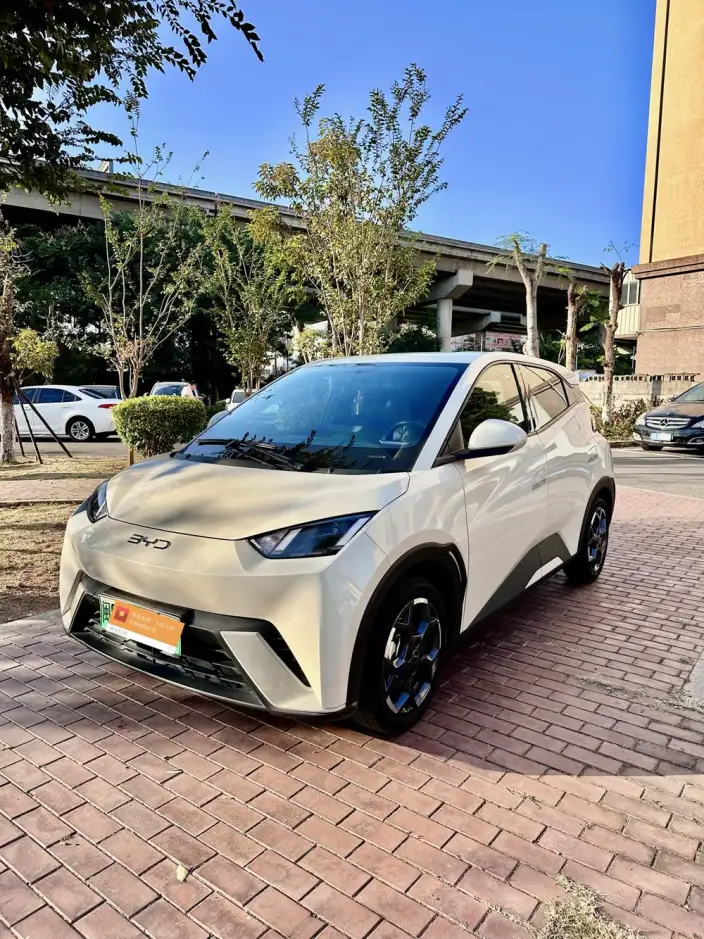 BYD Seagull 2024 Model Honor Edition 305KM Vitality Edition – фото 1