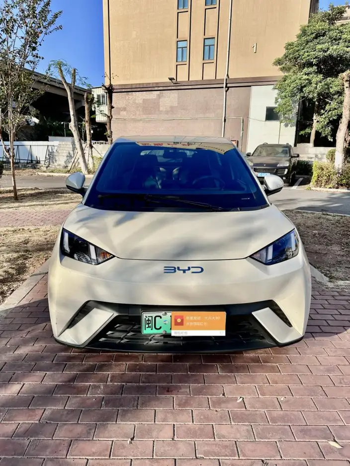 BYD Seagull 2024 Model Honor Edition 305KM Vitality Edition – фото 2