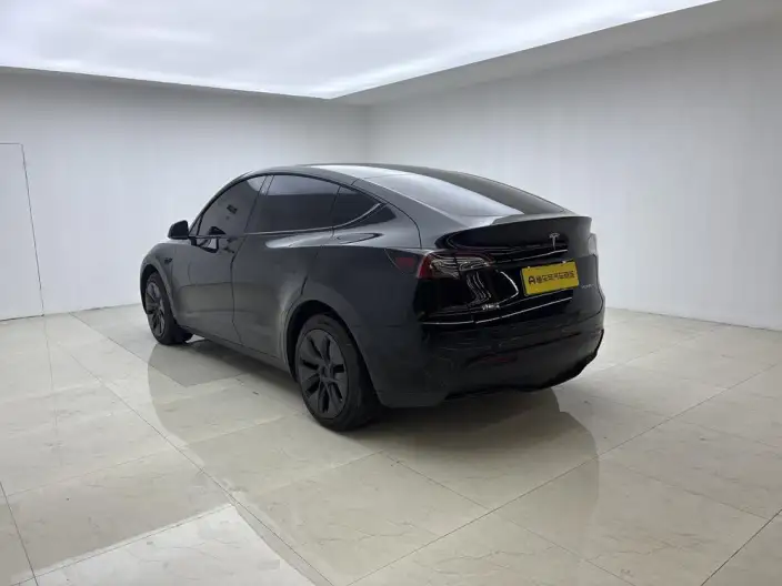 Model Y 2024 Model Long Battery Life Pro All-wheel drive version – фото 5