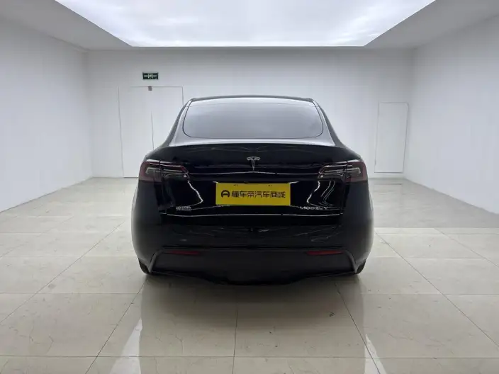 Model Y 2024 Model Long Battery Life Pro All-wheel drive version – фото 6