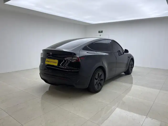 Model Y 2024 Model Long Battery Life Pro All-wheel drive version – фото 7