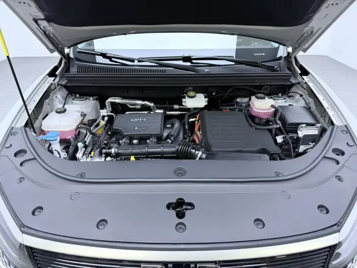 Haise 05DM 2025 Model DM-i 75KM Luxury Model – фото 10