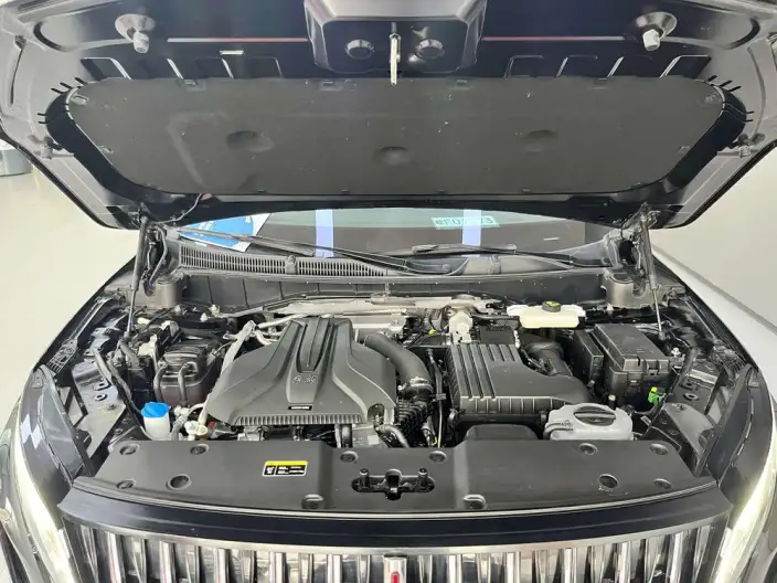 Hongqi HS7 PHEV 2024 Model 2.0T 4WD Flag Enjoy Edition 6 seat – фото 6