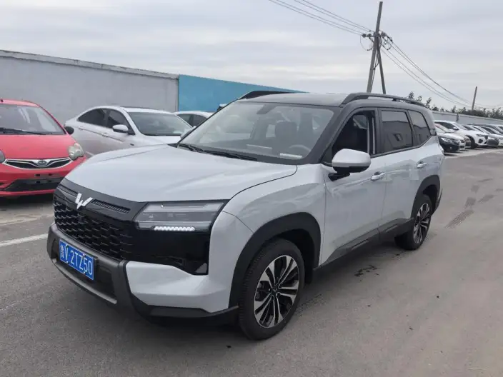Xingguang 560 2026 Model 1.5T CVT Elite Model