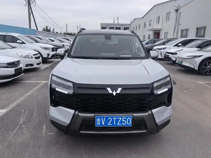 Xingguang 560 2026 Model 1.5T CVT Elite Model