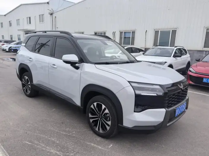 Xingguang 560 2026 Model 1.5T CVT Elite Model