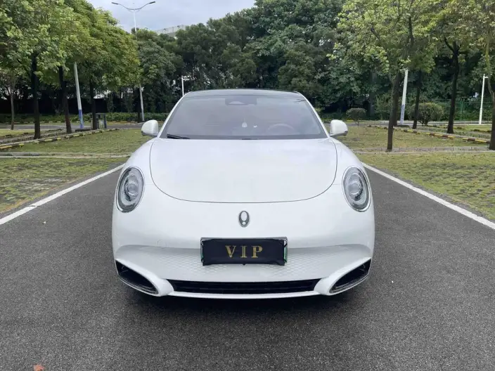 ORA Grand Cat 2022 Model 555km Premium Edition – фото 2