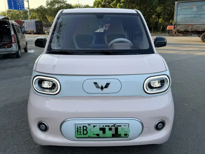Wuling Hongguang MINIEV 2024 Model 215km Youth Edition Lithium Iron Phosphate