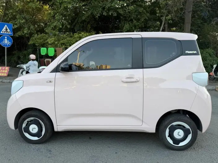 Wuling Hongguang MINIEV 2024 Model 215km Youth Edition Lithium Iron Phosphate