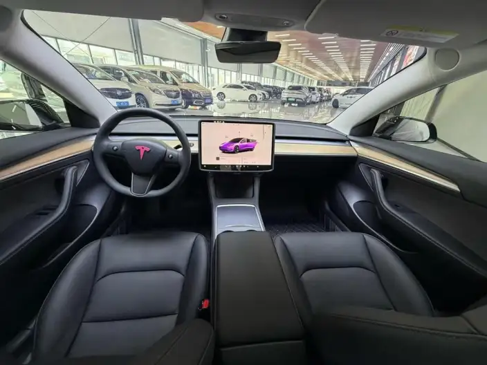 Model 3 2022 Model Rear-wheel drive version – фото 7