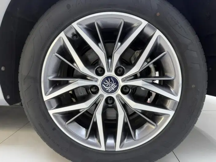 Qin Plus EV 2024 Model Honor Edition 420KM Leading Model – фото 9
