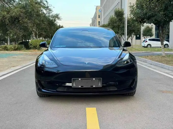 Model 3 2022 Model Rear-wheel drive version