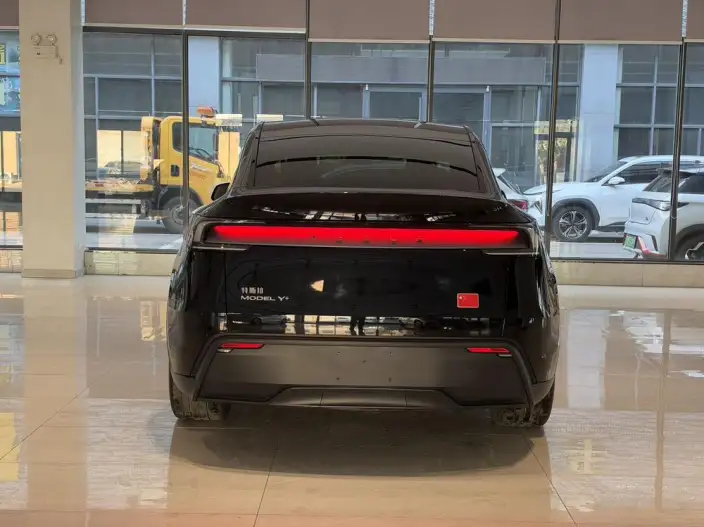Model Y 2025 Model Rear-wheel drive version – фото 5