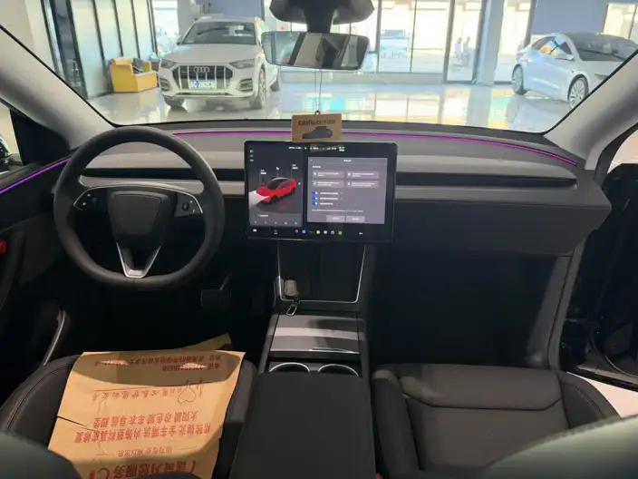 Model Y 2025 Model Rear-wheel drive version – фото 8