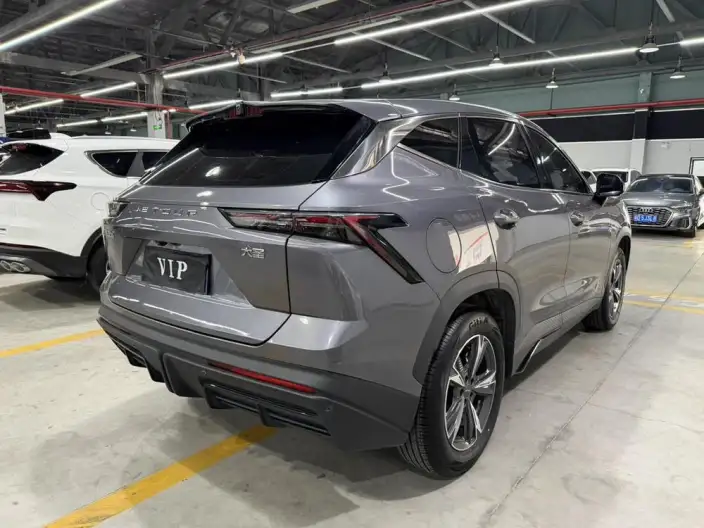 Jetour Dasheng 2024 Model 1.5T DCT Star Edition PRO – фото 6