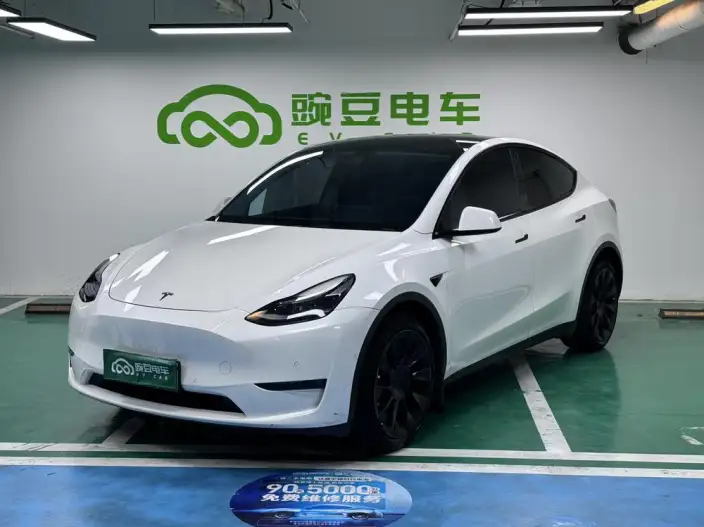 Model Y 2021 Model Long Battery Life Pro All-wheel drive version 3D3/3D7